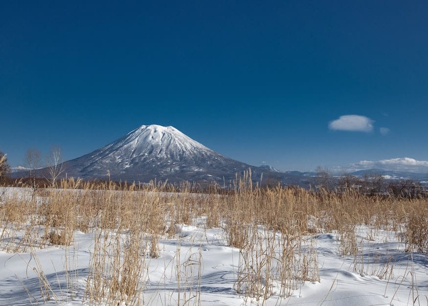 Niseko property for sale