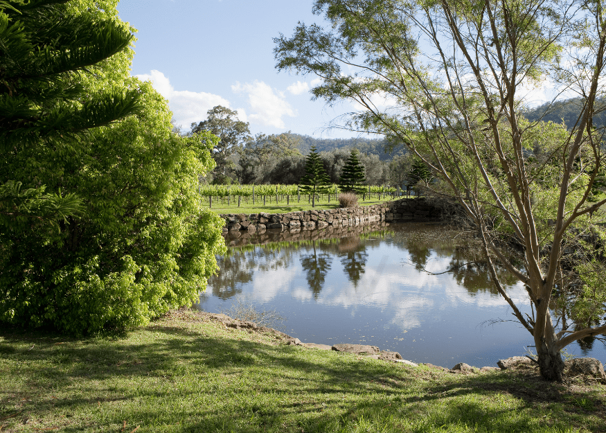 46 Rymera Road, Sarabah pond