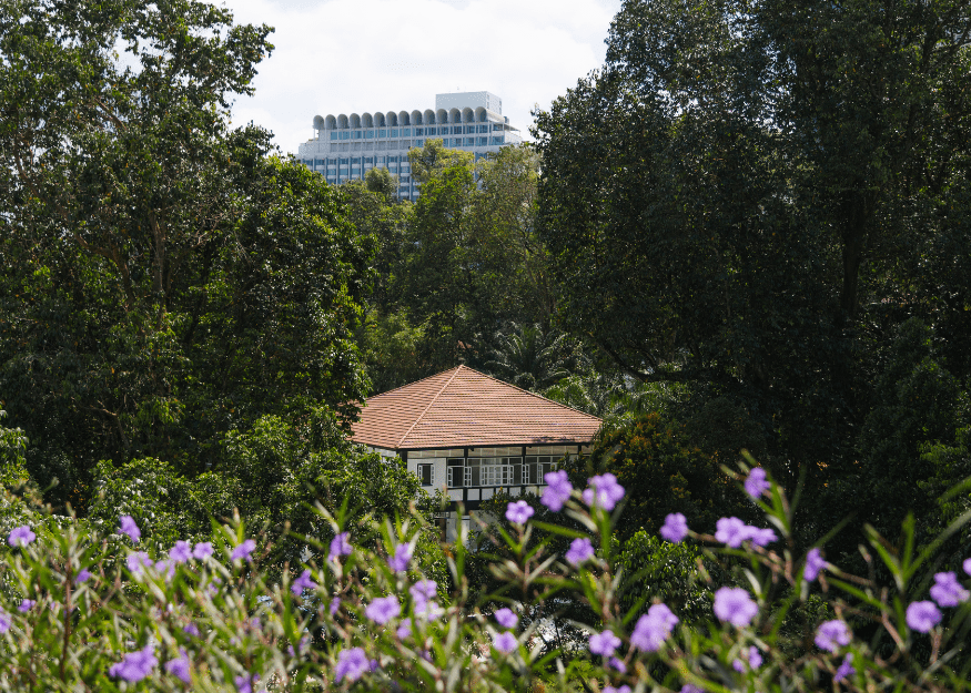 9 Nassim Road roof view