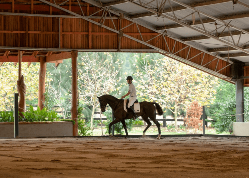 Sydney Polo Club horse