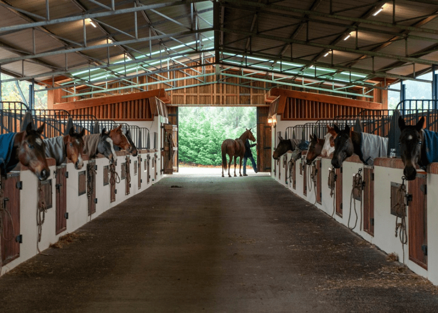 Sydney Polo Club stable