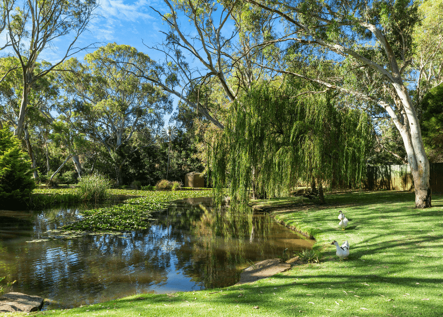 Yatahlia Manor pond