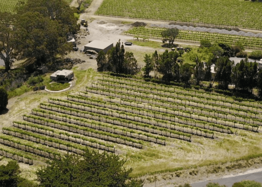 860 Stockwell Road, Angaston mataro vineyard and house