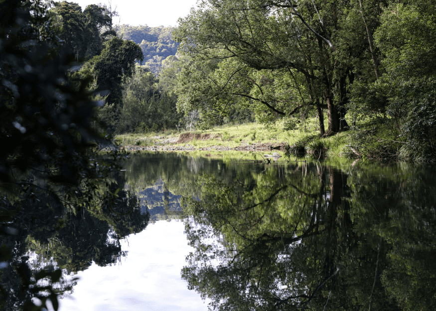 Orara Valley Estate pond