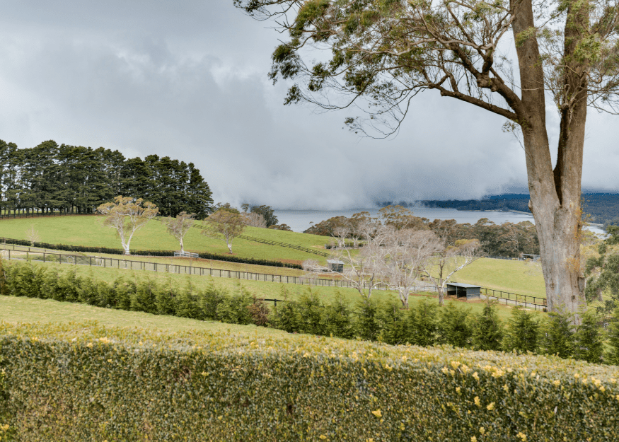 Cloud Lane Bowral view