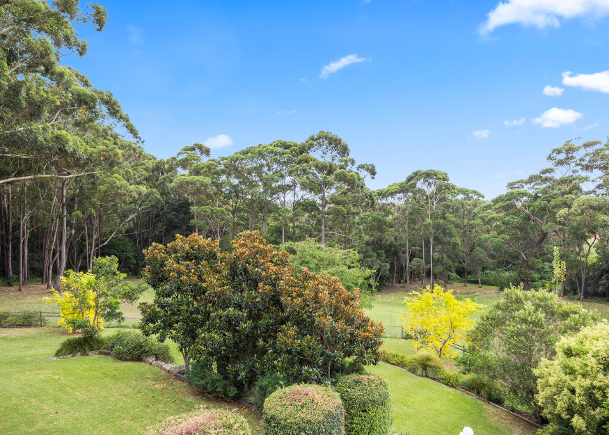 13B Bishop Drive garden