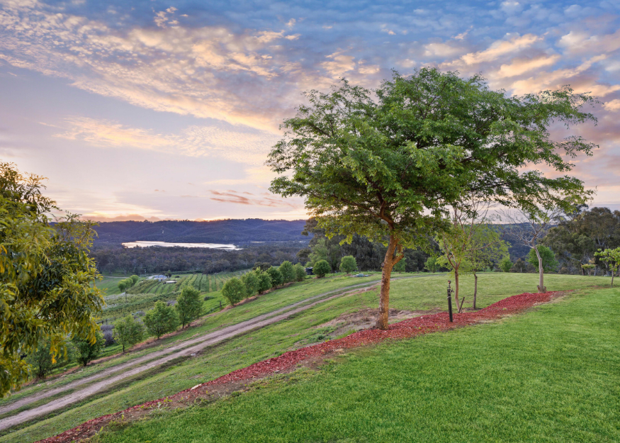 Newman Rd Adelaide Hills backyard