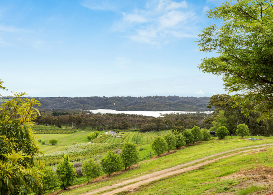 Newman Rd Adelaide Hills backyard