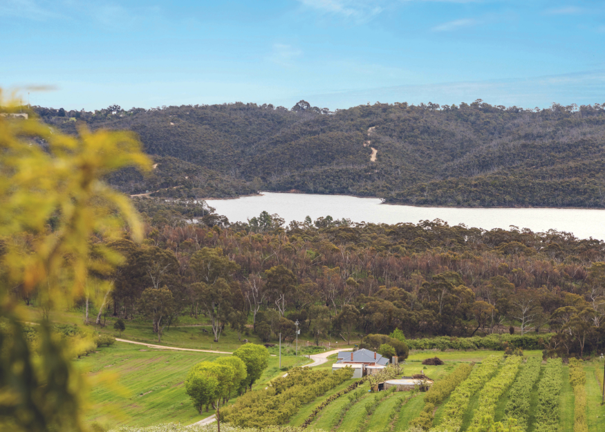 Newman Rd Adelaide Hills view