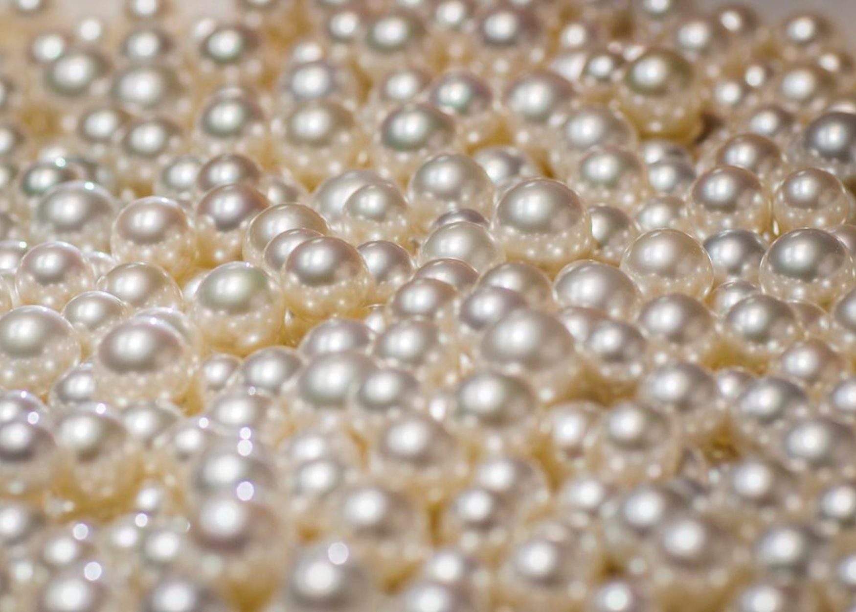 Paspaley pearls