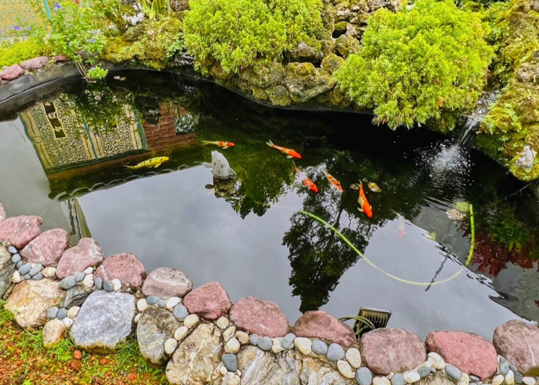 63 Bing Tong Park fish pond