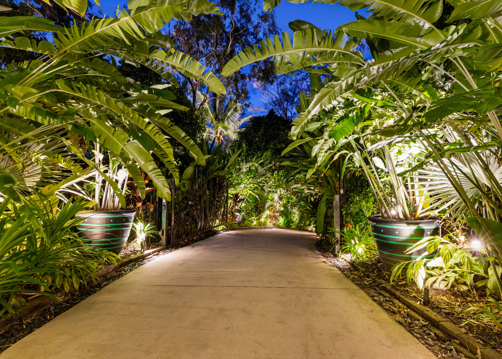 The Glasshouse, Port Douglas path