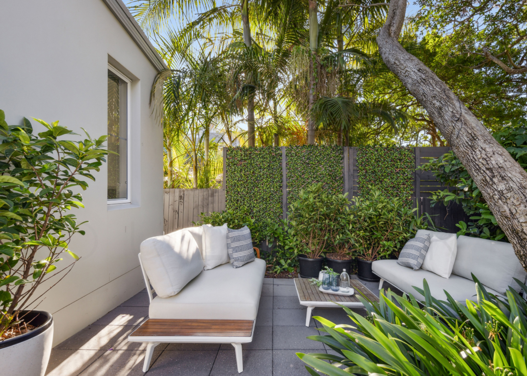 Holdsworth Street, Neutral Bay patio