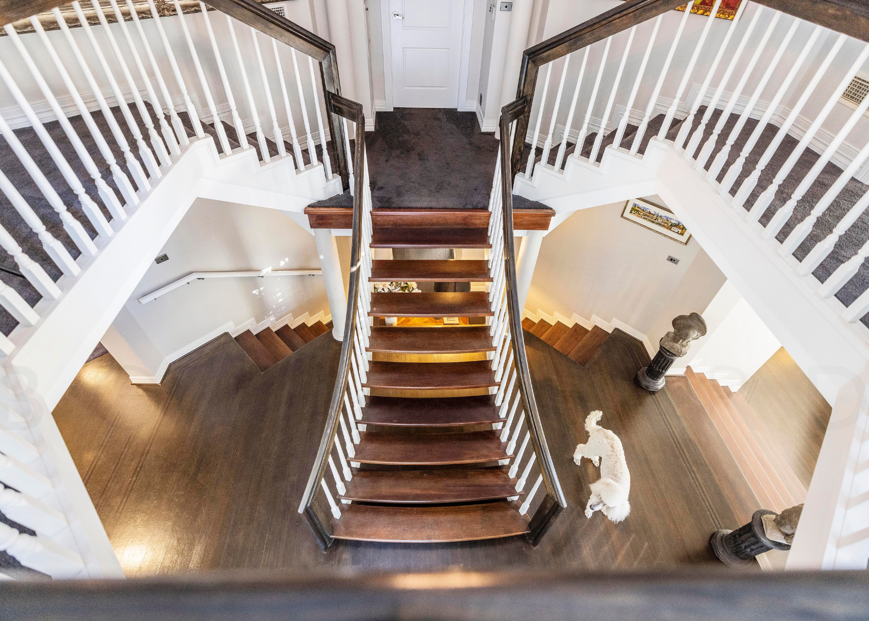 37 Roland Ave Wahroonga stairs