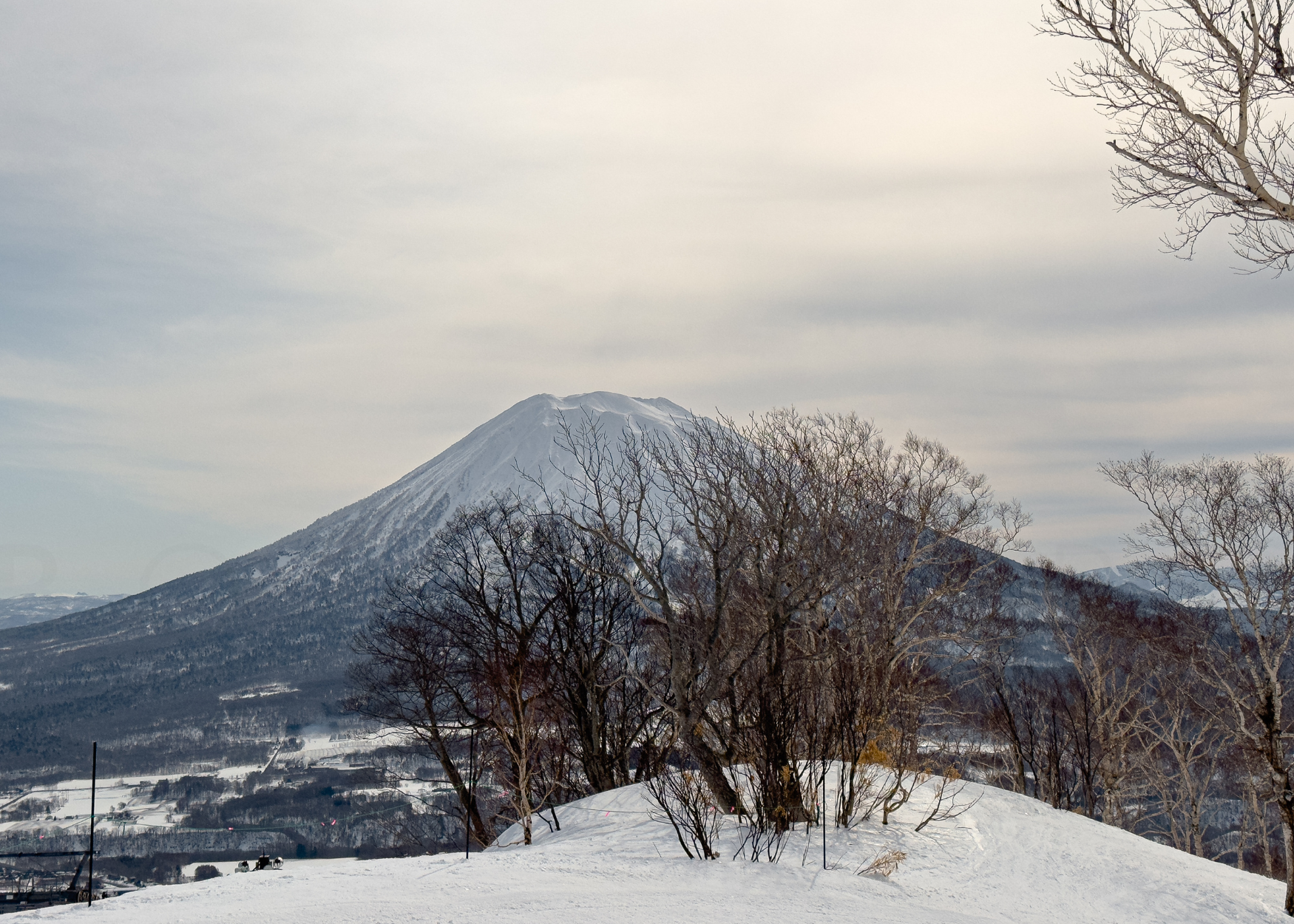 Niseko HM