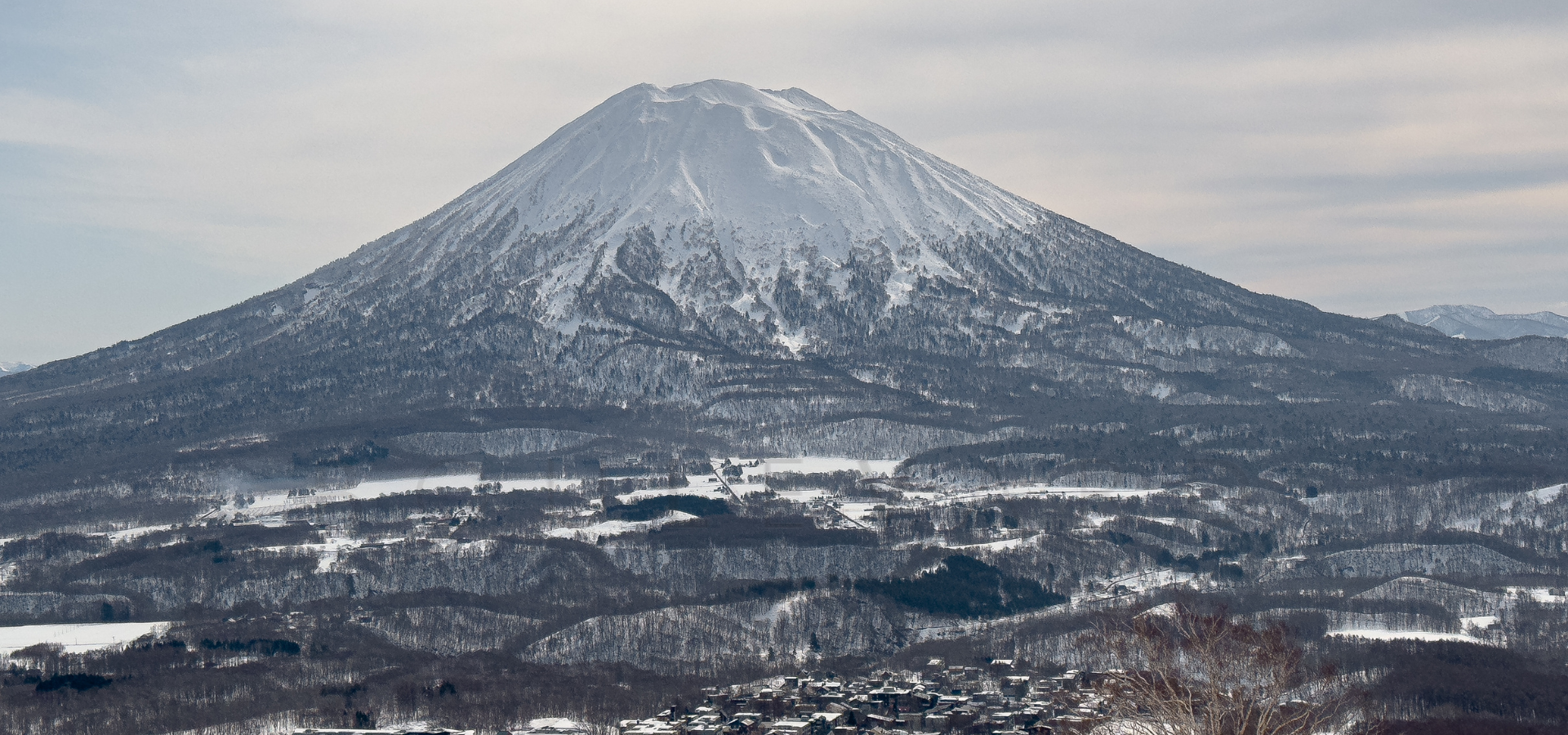 Niseko HM D1B