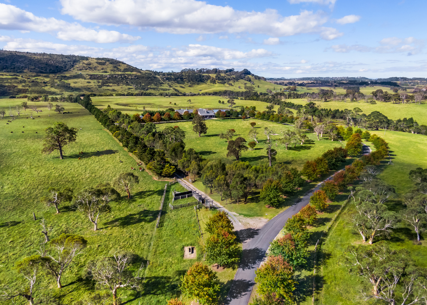 Penny Lane Farm, Sutton Forrest view