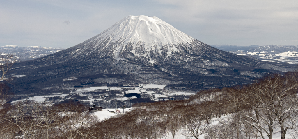Niseko D1A