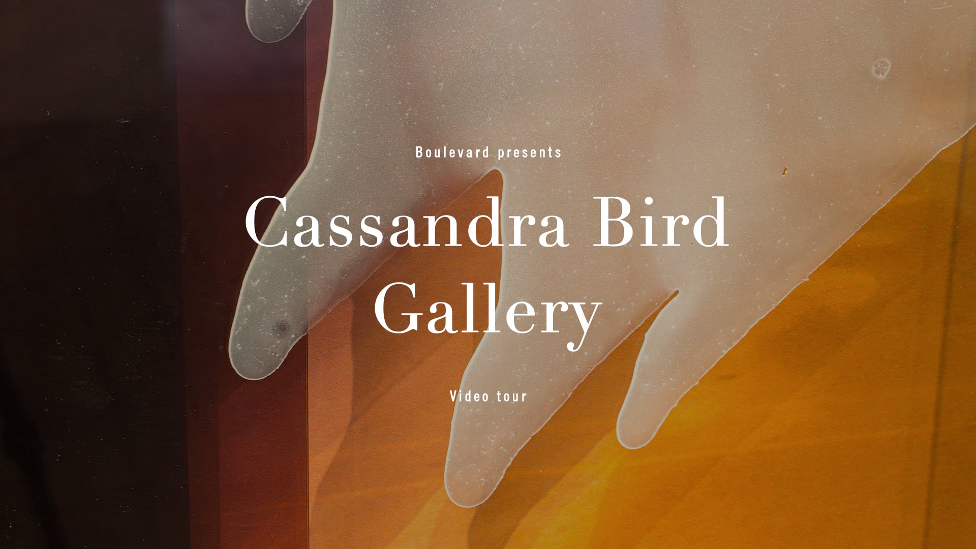 Cassandra Bird Gallery tour video