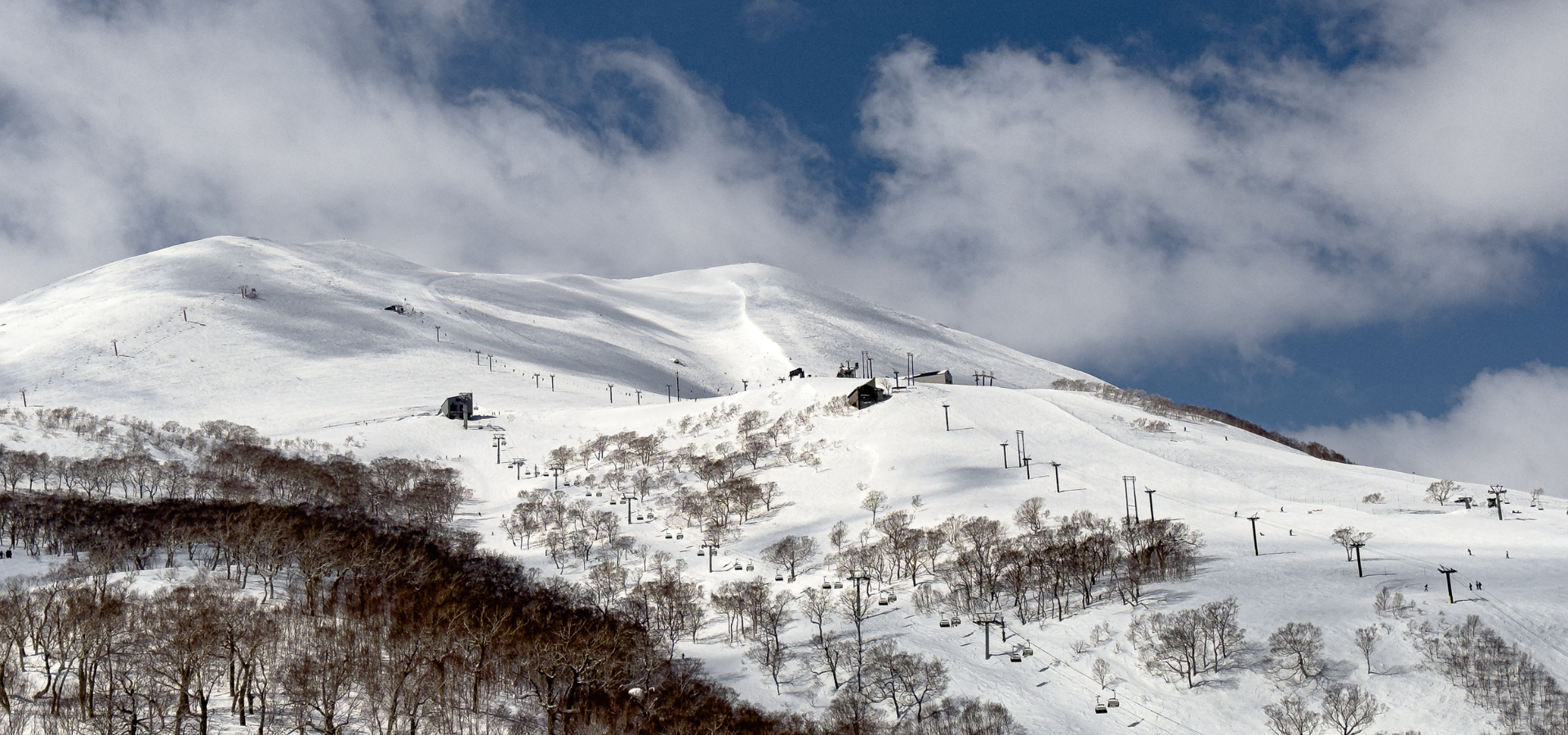 Niseko, Japan D1H