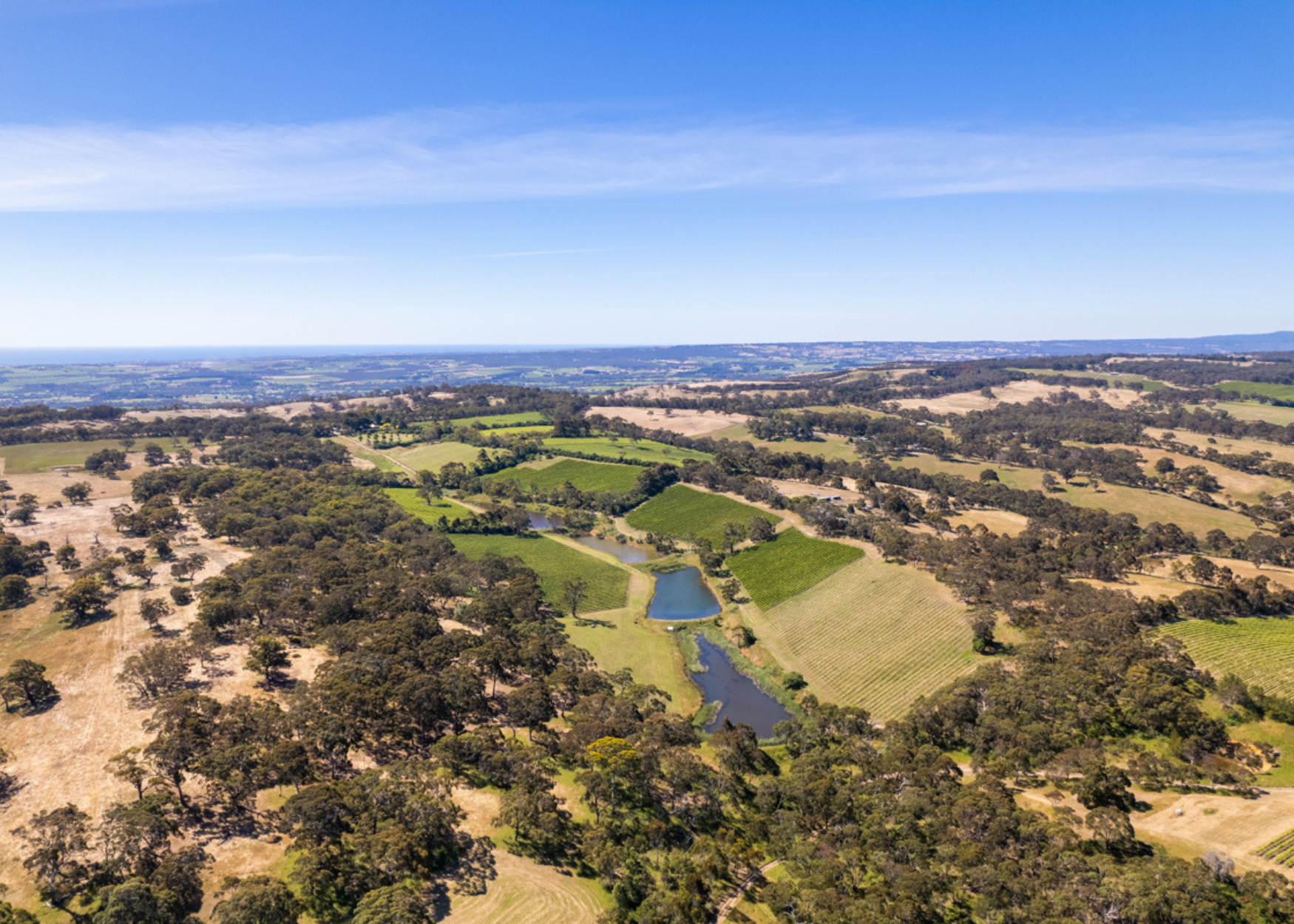 772 Range Rd vineyard