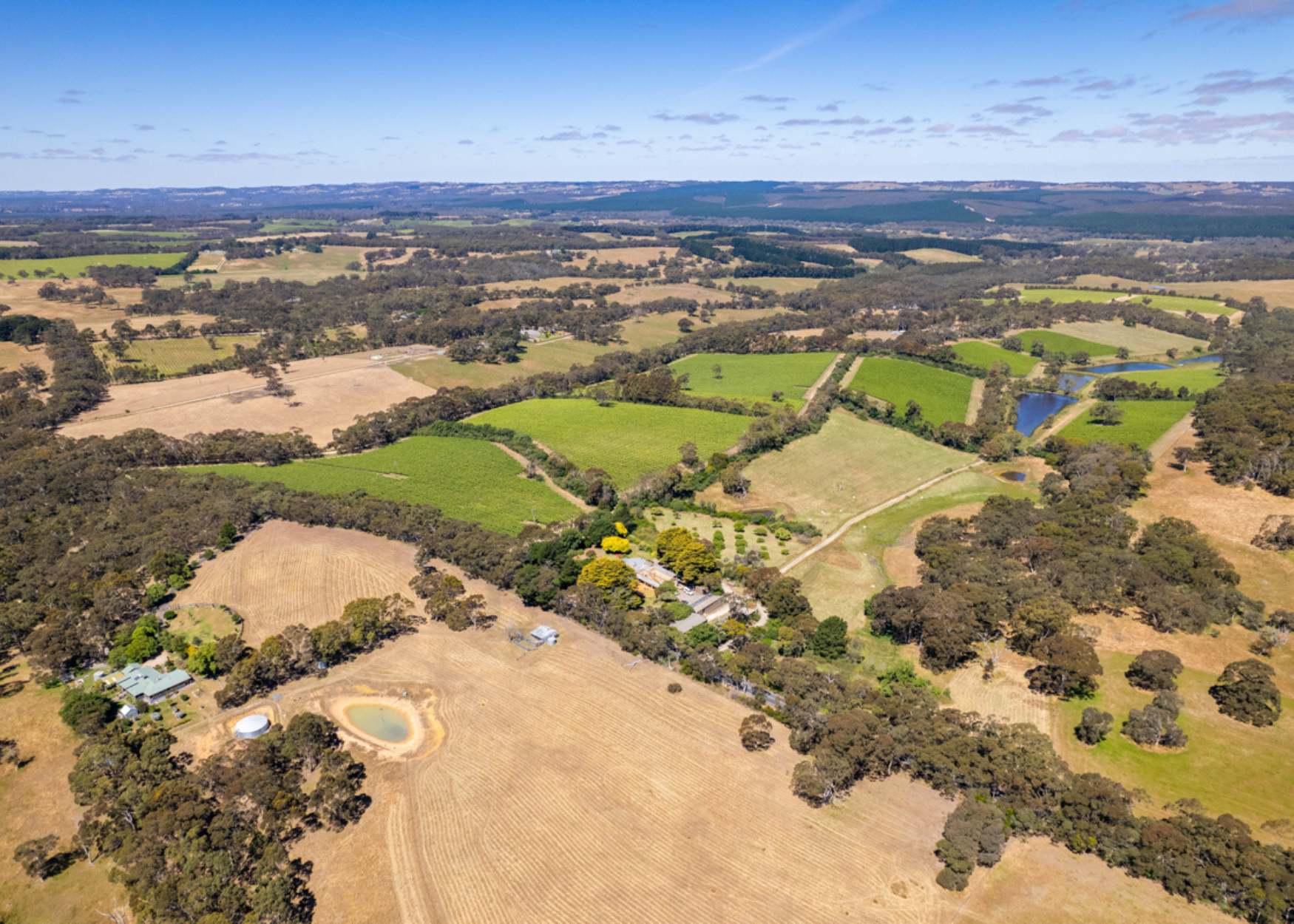 772 Range Rd vineyard