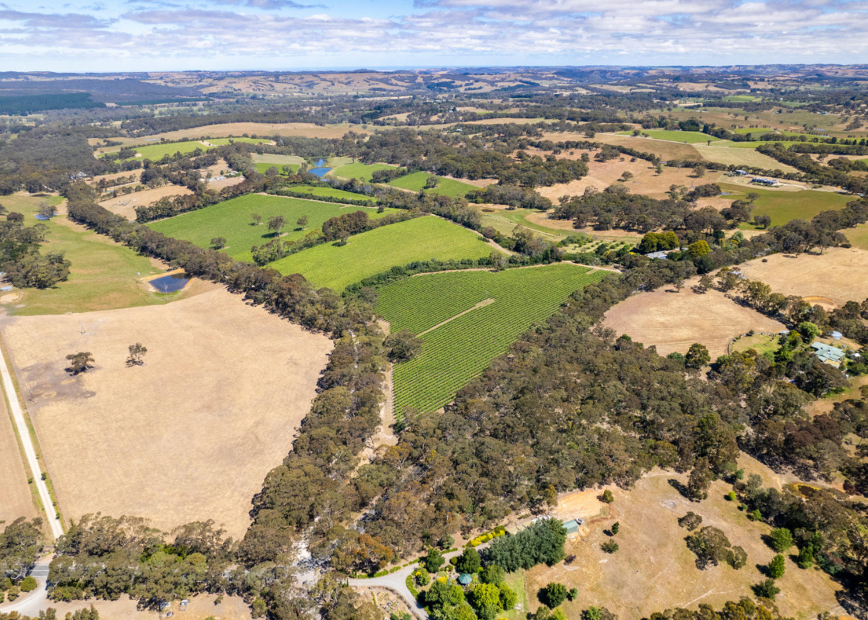 772 Range Rd vineyard