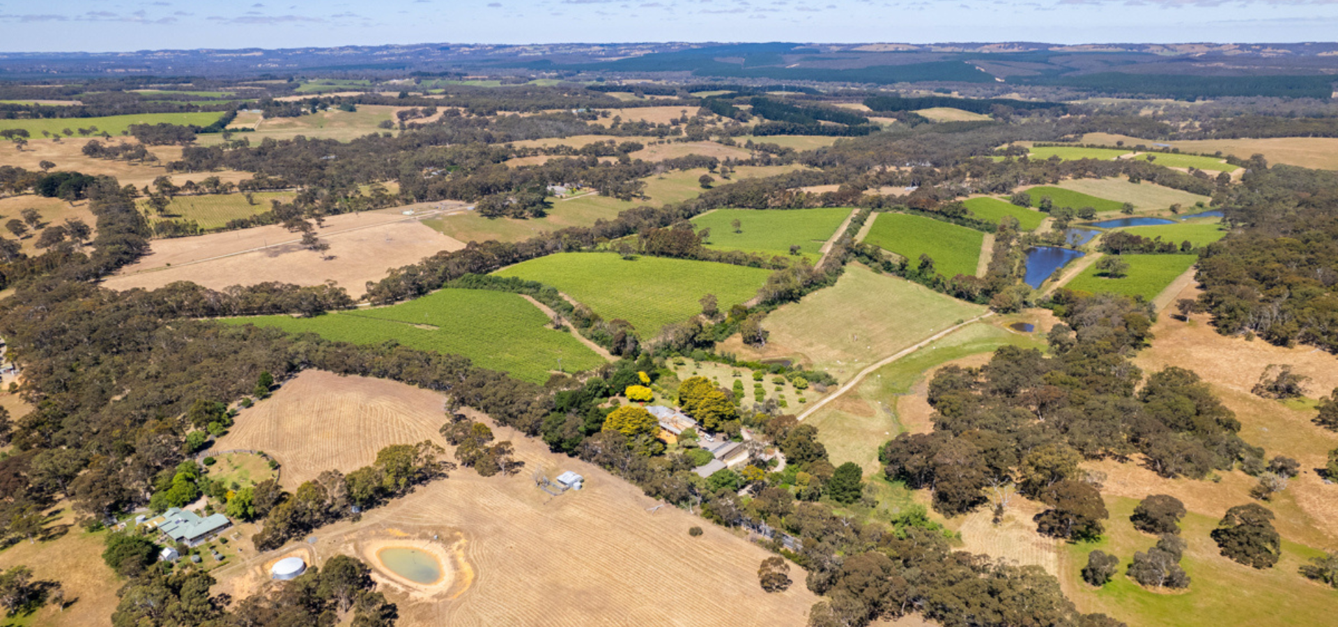 772 Range Rd vineyard D1A