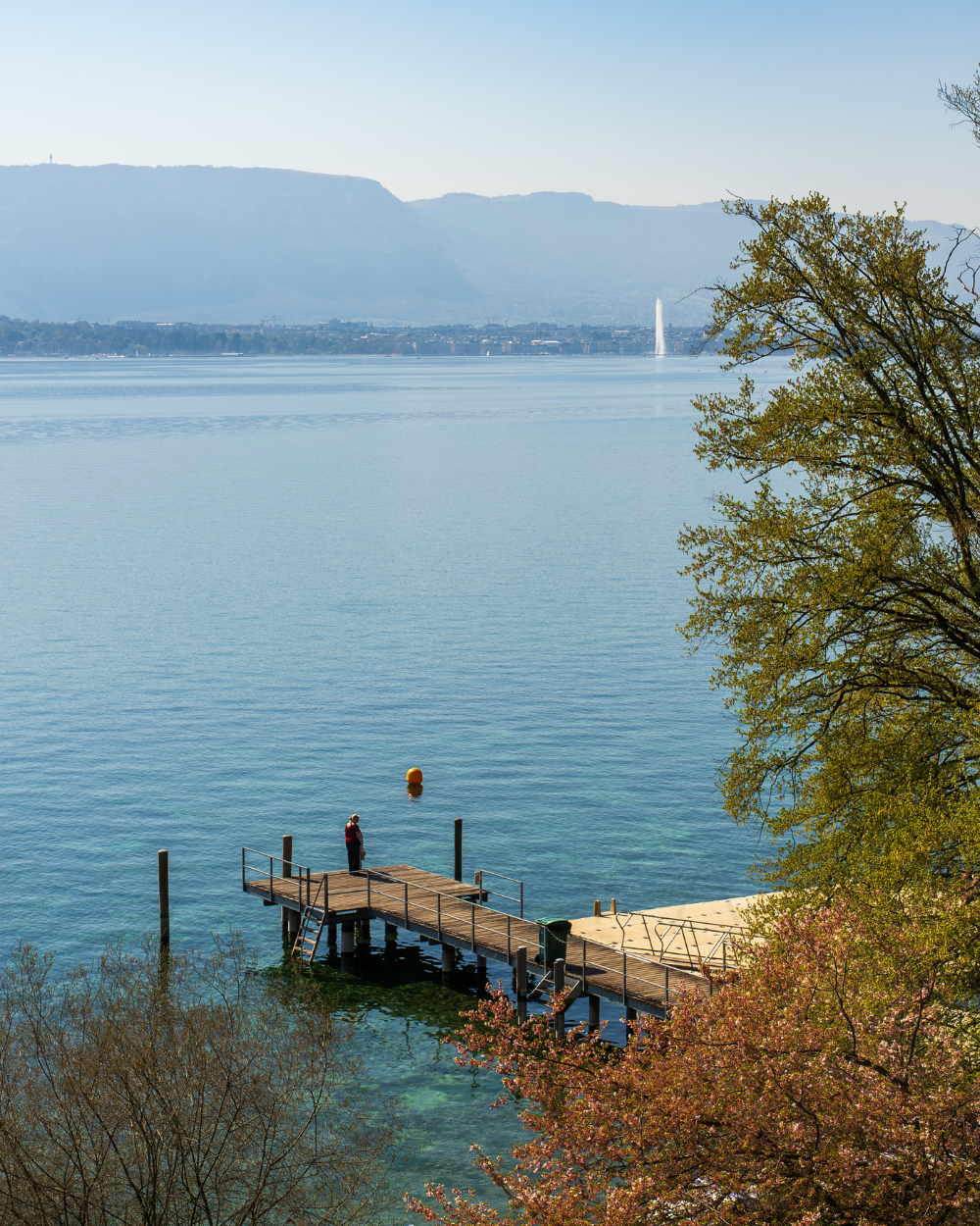 349C Rte Laussanne Genthod, Geneva, Switzerland
