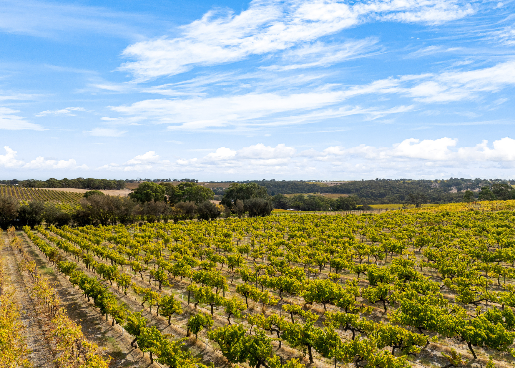 165 Whitings Rd, Blewitt Springs