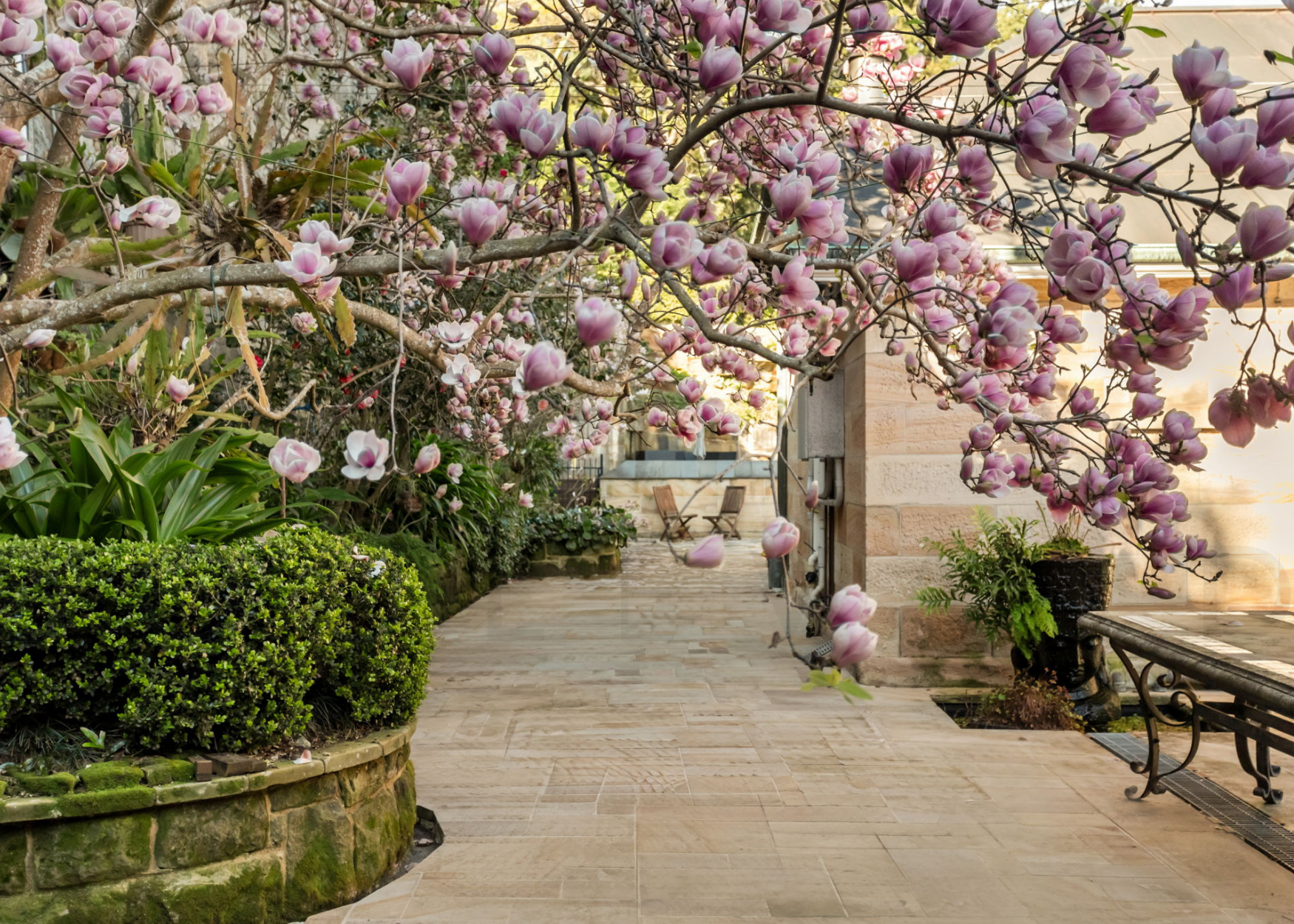 7 Woolwich Rd, Hunters Hill