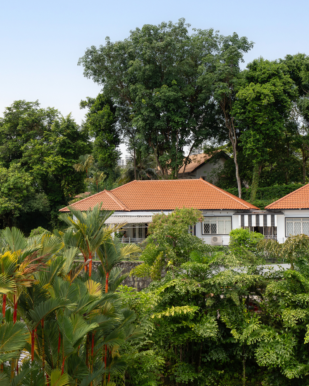 39 Bin Tong Park
