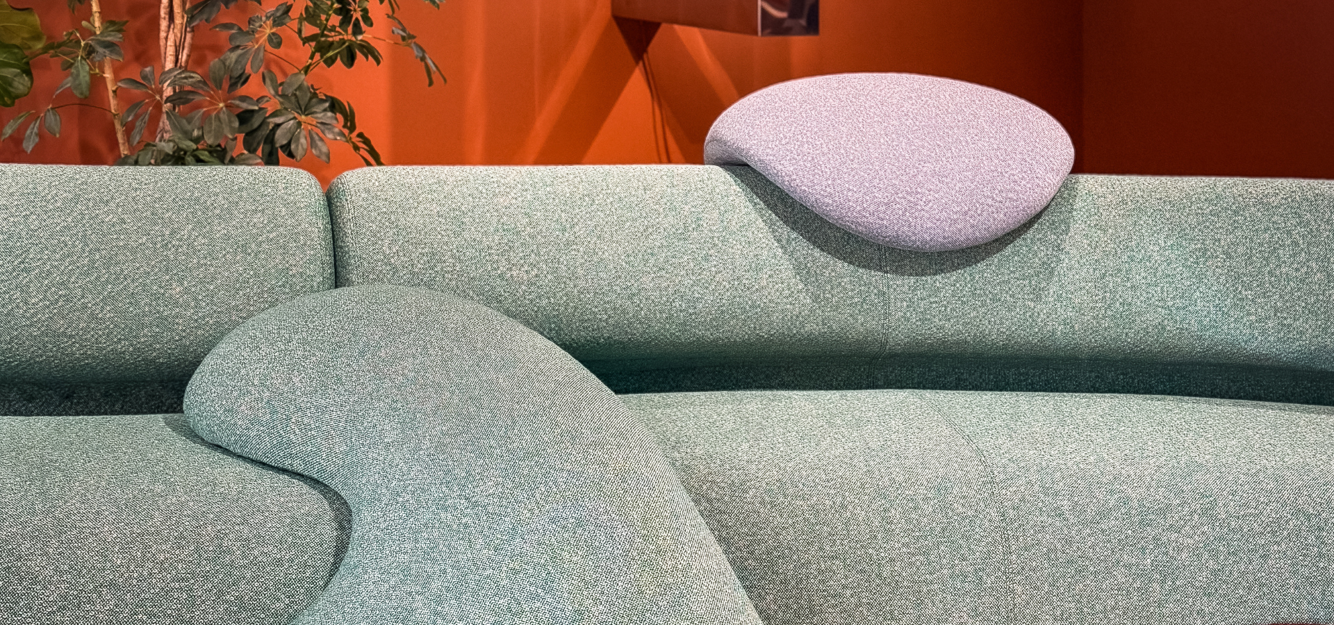 Moroso D1C