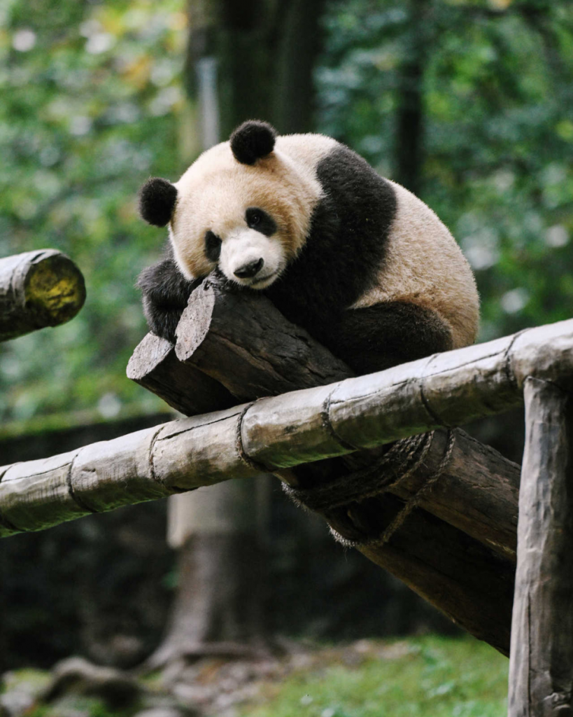 Scott Dunn travel photos