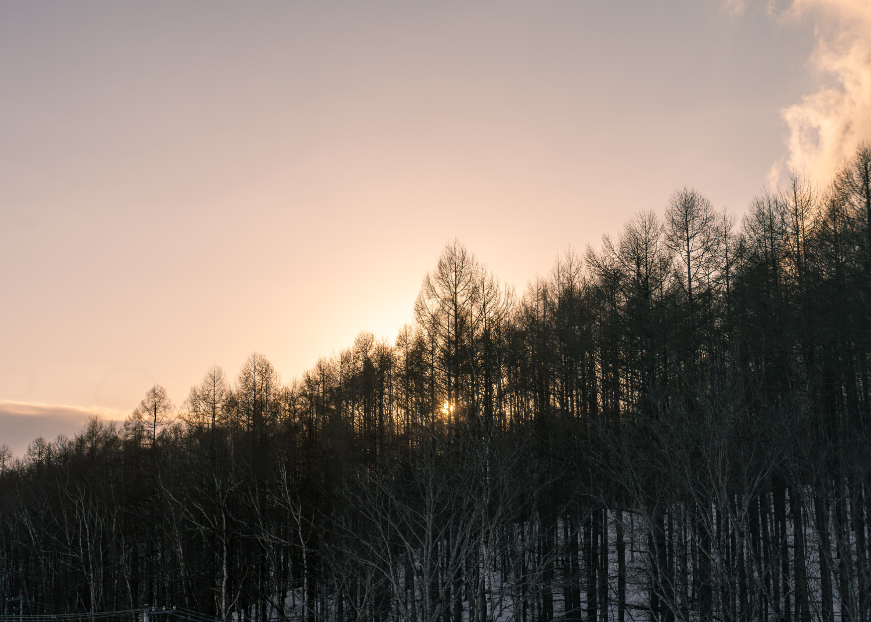 #507 The Intuition Niseko