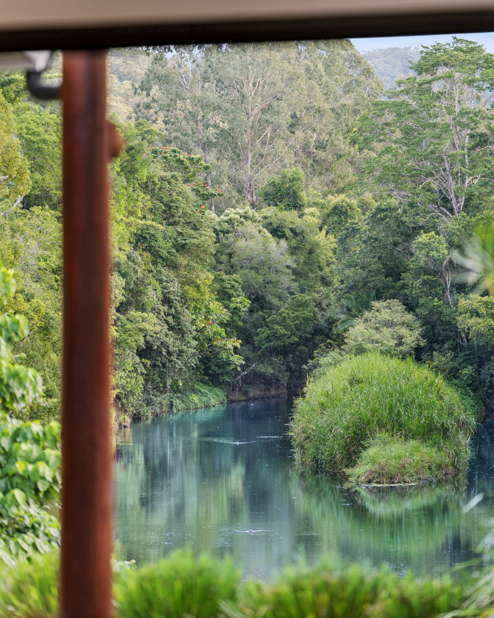 111 Colemans Farm Rd, Yandina